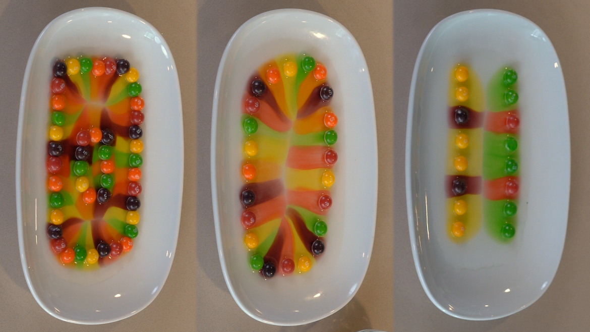 Food Science with Chef Renee: Skittle Experiment